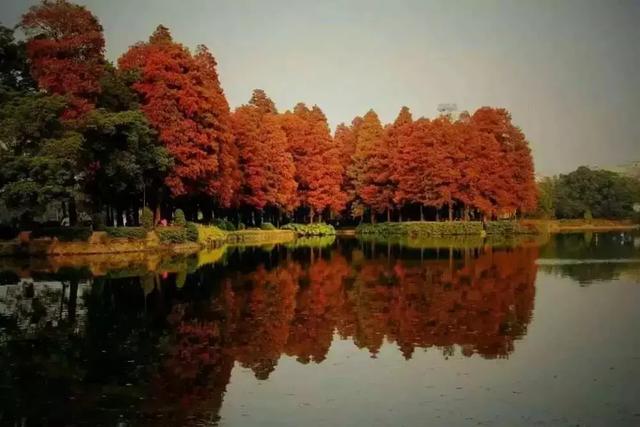 广州一日游攻略必去景点（广州50个一日游景点）(54)