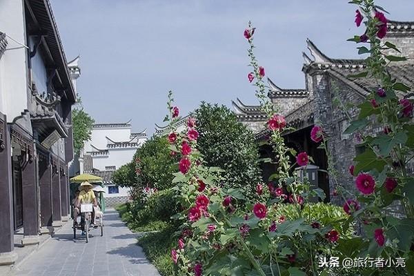 安徽十大最美旅游景点（安徽十大旅游景点）(75)