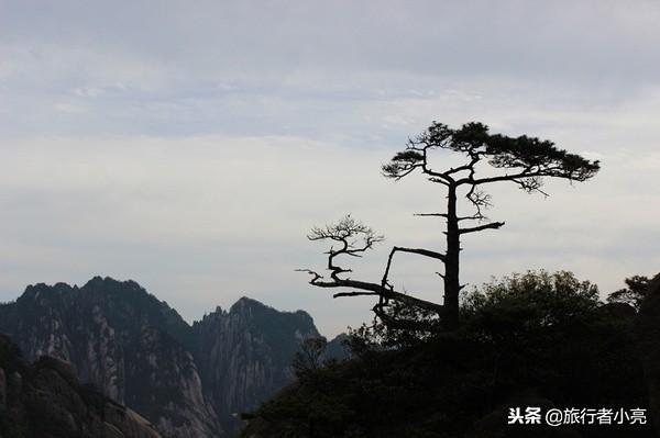 安徽十大最美旅游景点（安徽十大旅游景点）(13)