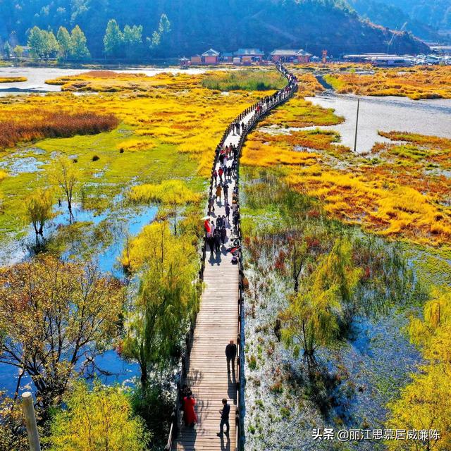 丽江旅游住宿自由行攻略大全（丽江旅游攻略及防坑指南）(18)