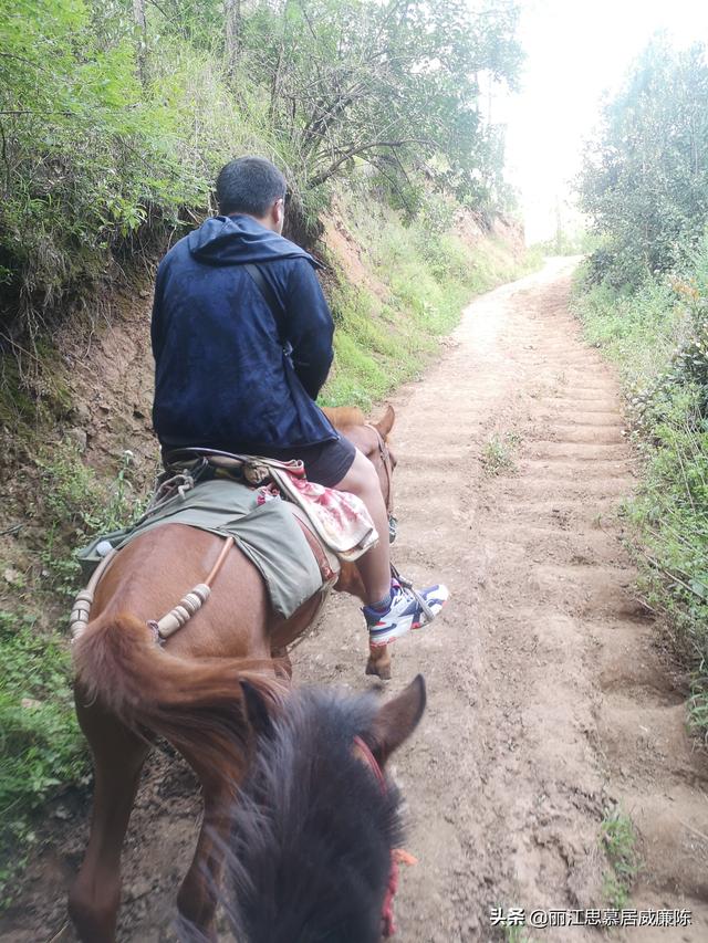 丽江旅游住宿自由行攻略大全（丽江旅游攻略及防坑指南）(31)