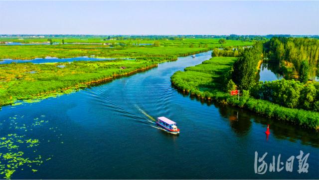 河北雄安新区城市规划最新（河北高标准高质量规划建设雄安新区纪实）(19)