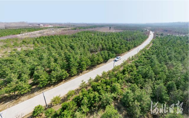 河北雄安新区城市规划最新（河北高标准高质量规划建设雄安新区纪实）(23)