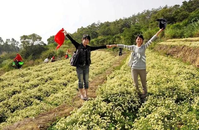 最美海上花园（高颜值的海上花园城市）(55)