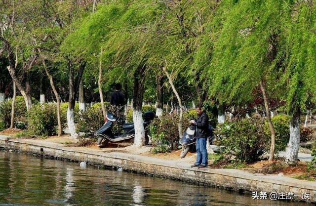 石家庄市区免费钓鱼地点（石家庄周边十大钓鱼场所）(14)