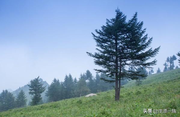 石家庄市区免费钓鱼地点（石家庄周边十大钓鱼场所）(11)