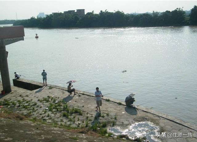 石家庄市区免费钓鱼地点（石家庄周边十大钓鱼场所）(16)