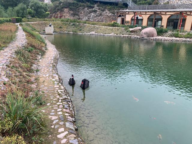 大同旅游攻略最详细（大同十一游攻略）(20)