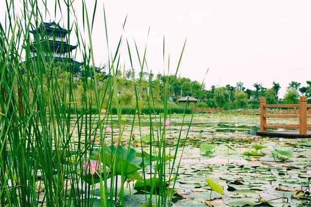 南京周边的旅游景点有哪些（南京周边六大景点攻略）(6)