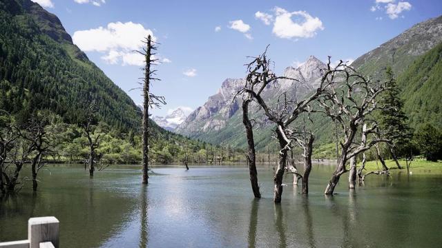 成都出发去四姑娘山攻略（成都小金四姑娘山）(7)