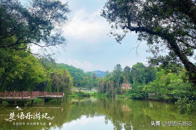 开平最美的碉楼（开平市除了狂飙取景地）(1)