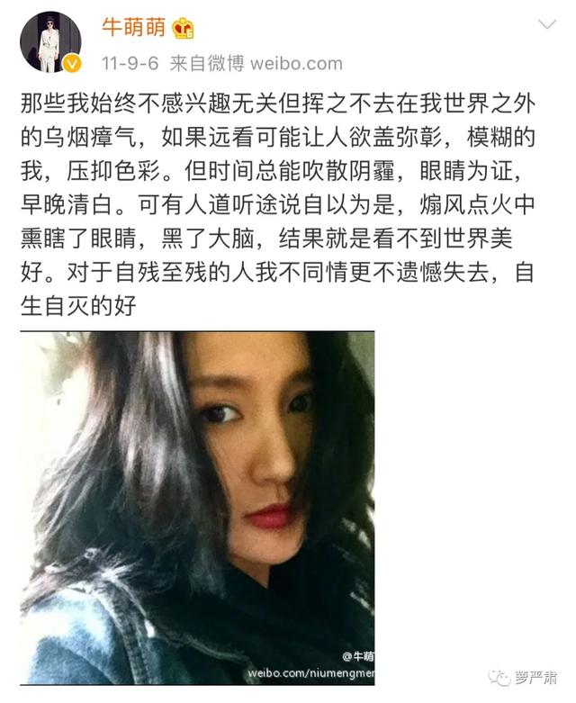 有个女的专门去东北吃铁锅炖（又一个铁锅炖自己的奇女子）(97)