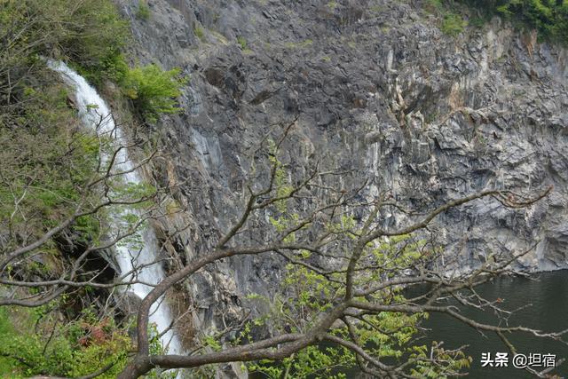 上海辰山植物园参观路线图（浮生半日松江探坑）(12)