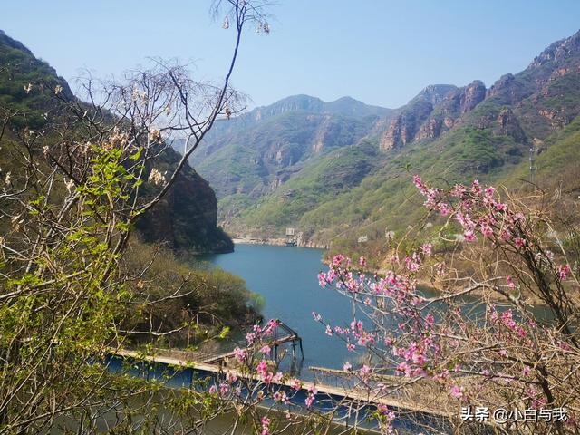 平谷桃花海一日游攻略 不能错过4月的北京平谷(10)