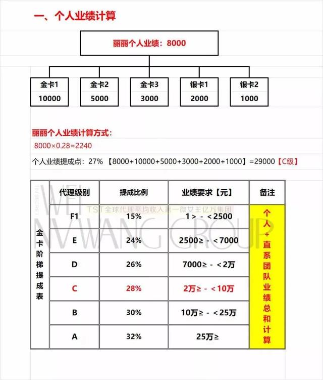 张庭的真面貌（张庭的秘密）(5)