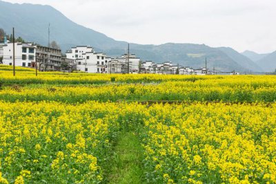 ​张角定理怎么发明的（科普数学家朱谦）