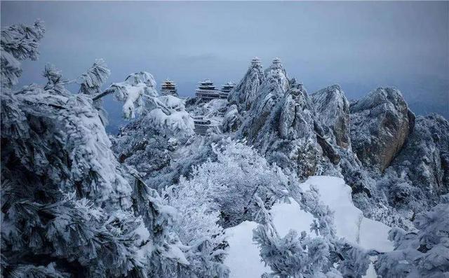 游览老君山旅游攻略（火爆全网的老君山旅行攻略来啦）(33)