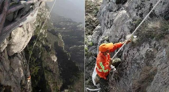 游览老君山旅游攻略（火爆全网的老君山旅行攻略来啦）(28)