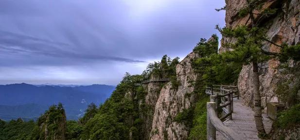 游览老君山旅游攻略（火爆全网的老君山旅行攻略来啦）(18)