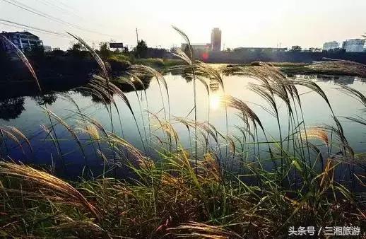 长沙市内有哪些旅游景点免费（小长假去长沙游玩）(18)