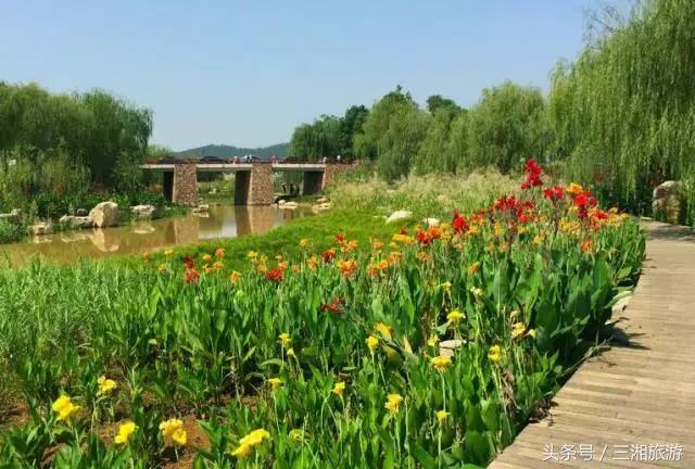 长沙市内有哪些旅游景点免费（小长假去长沙游玩）(17)