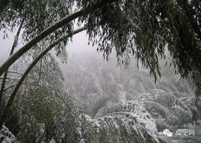 咸宁旅游攻略必玩的景点推荐一下（吐血收集咸宁最全景点旅游）(6)