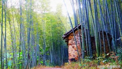 ​广州溪头村一日游攻略（广东最美乡村从化溪头村）