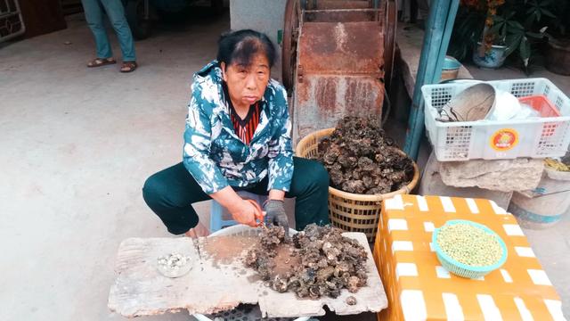 东山岛旅游攻略完整版路线图（霞浦纪行2日游打卡小京沙滩）(13)