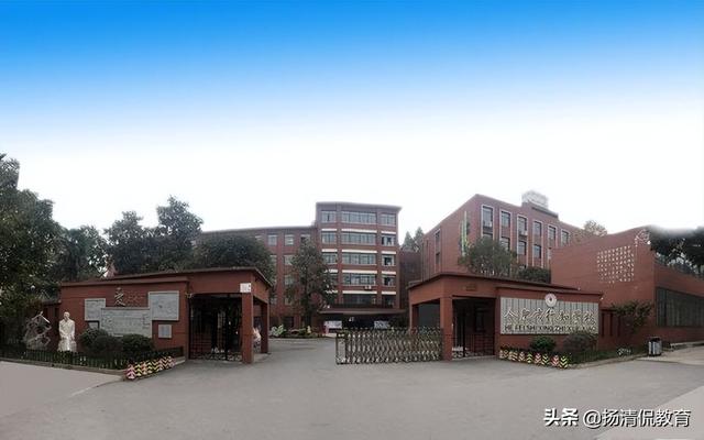 合肥55中与行知中学哪个好 合肥38中和行知学校(7)