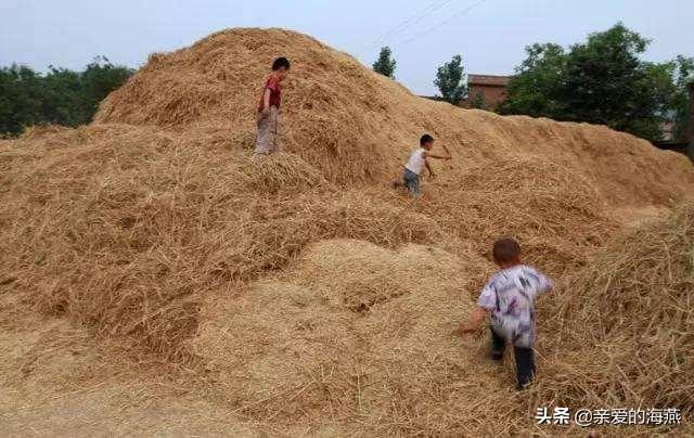 80后的你还记得自己的童年吗（80年代童年的那些事）(11)