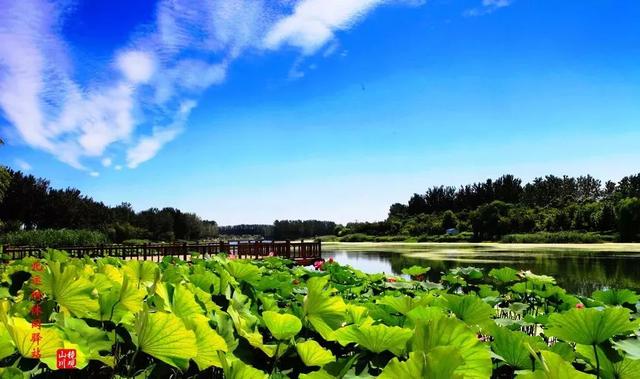 天津一日游最佳景点游玩攻略（天津42个最适合一日游的免费景点）(38)