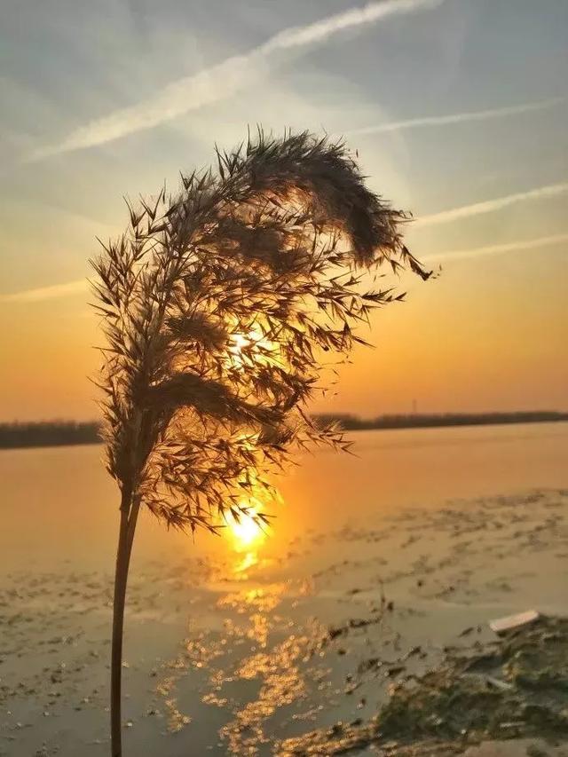 天津一日游最佳景点游玩攻略（天津42个最适合一日游的免费景点）(41)