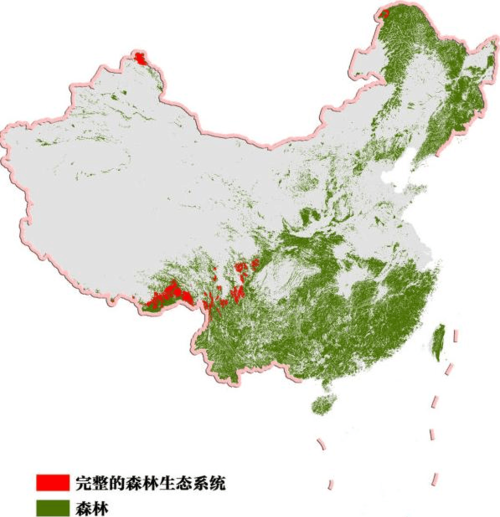 中国国家森林覆盖面积约为144万公顷还是平方千米