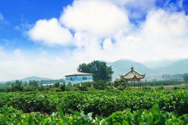 青岛周边有什么好玩的景点推荐（原来青岛近郊有这么多好玩的）(5)