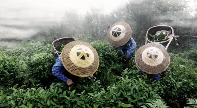 长沙茶颜悦色什么纯茶最好喝（非遗湘茶吴建利）(4)