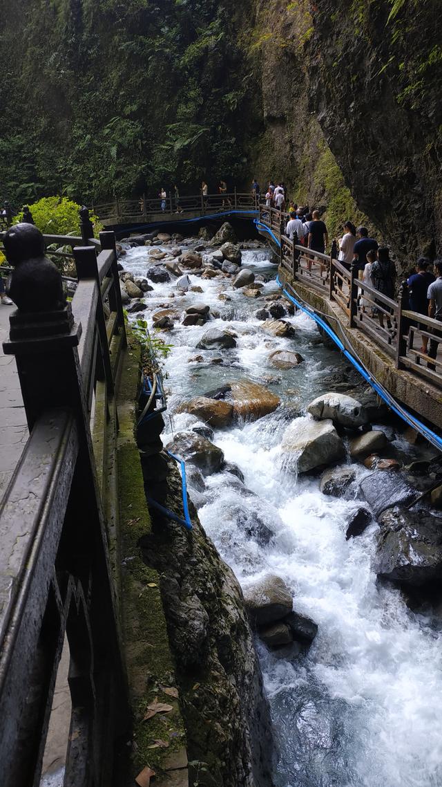 乐山大佛峨眉山二日游详细路线（四川乐山大佛-峨眉山两日游路线攻略）(34)