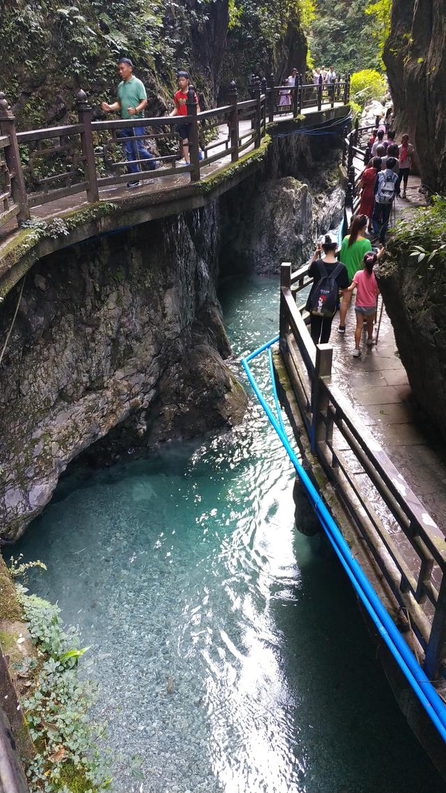 乐山大佛峨眉山二日游详细路线（四川乐山大佛-峨眉山两日游路线攻略）(36)