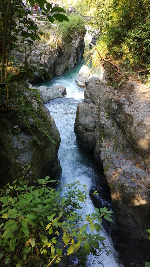 乐山大佛峨眉山二日游详细路线（四川乐山大佛-峨眉山两日游路线攻略）(37)