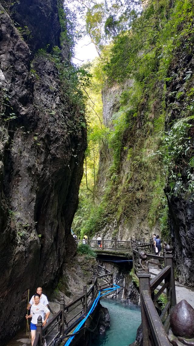 乐山大佛峨眉山二日游详细路线（四川乐山大佛-峨眉山两日游路线攻略）(35)