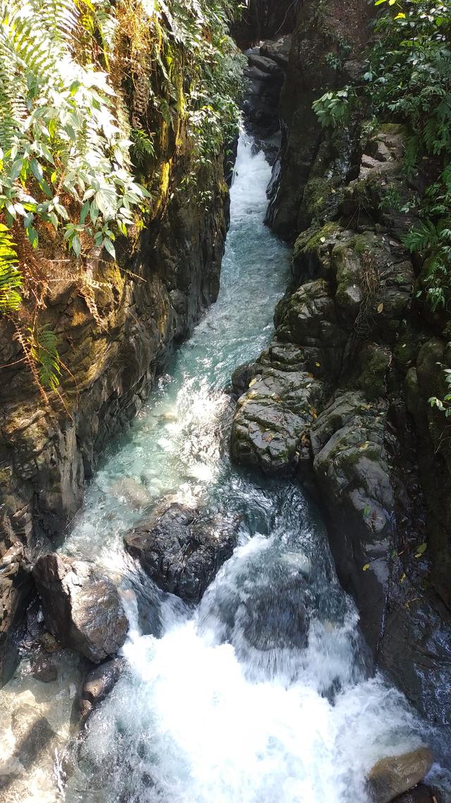 乐山大佛峨眉山二日游详细路线（四川乐山大佛-峨眉山两日游路线攻略）(38)