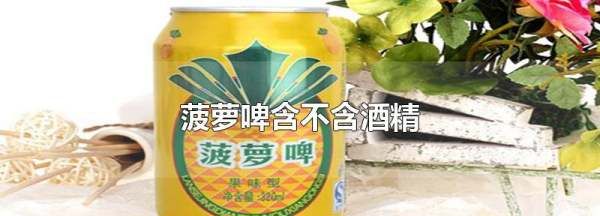 菠萝啤有酒精,菠萝啤有酒精度吗图2