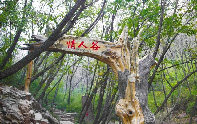 郑州一日游必去的地方（难怪郑州人都去这个地方）(11)