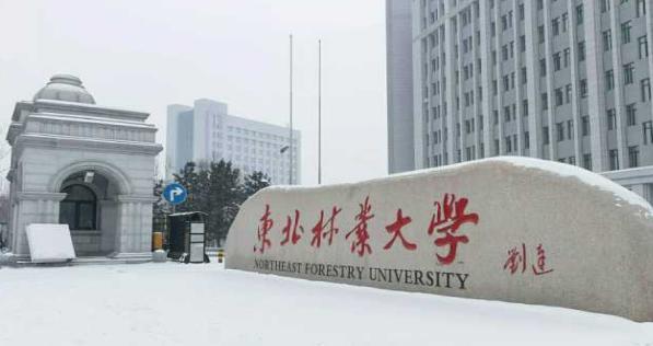 黑龙江各大学排名一览表（黑龙江高校排名最新出炉）(6)