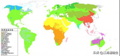 ​全球语系划分图（世界语系分布）