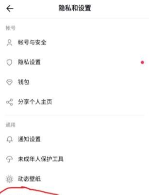 tiktok中文什么意思，tiktok用中文字代替？图4