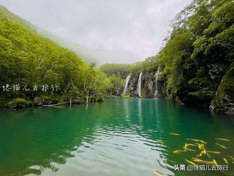 长白山天池火山是活火山吗(天池火山喷发过吗)