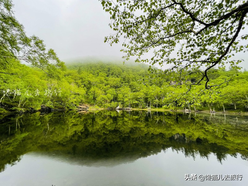 长白山天池火山是活火山吗(天池火山喷发过吗)