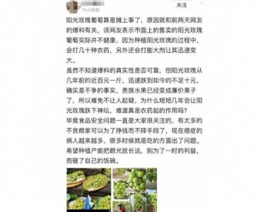 ​“阳光玫瑰”不安全是真的吗？ 吃一颗=吃24遍农药？专家回应