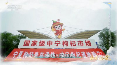 ​《山水间的家》走进宁夏 解锁中宁枸杞“潮文化”