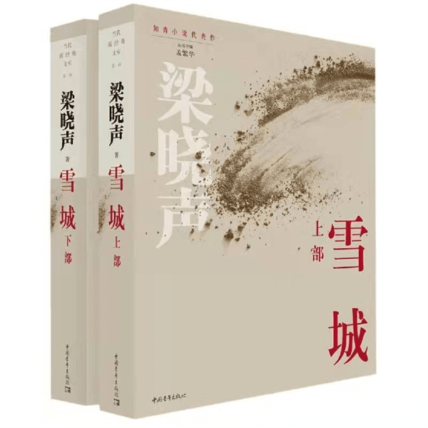 梁晓声简介和主要作品(梁晓声个人资料简介及作品)